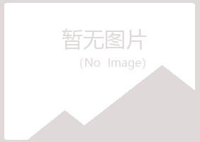 文成县白山化学有限公司